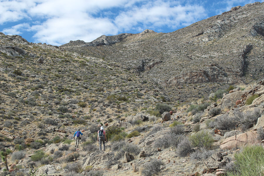 It's probably possible to take a more direct line to the summit from here, but the terrain is steeper than it looks.