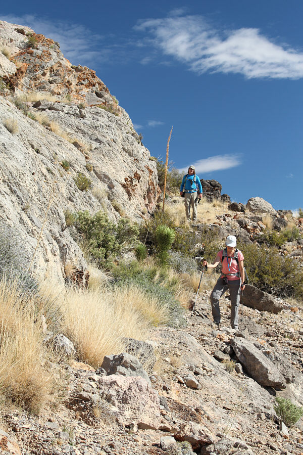 Stop worrying and just follow me, Dinah!