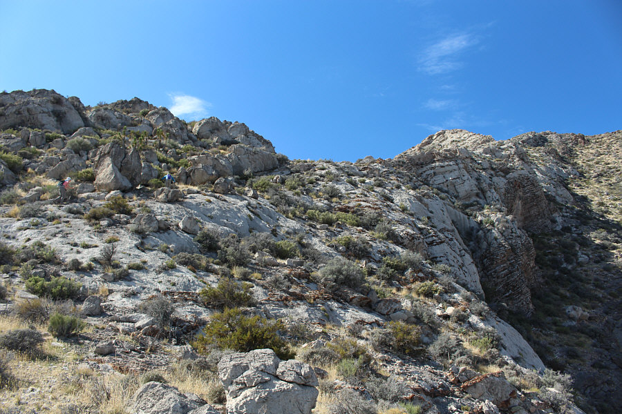 No worries. It's still easy scrambling here.