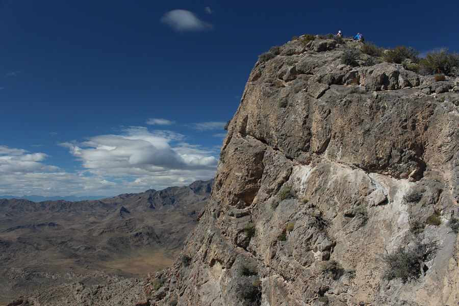 Don't look down, Dinah!