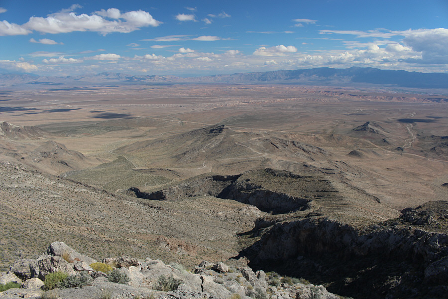 Can you spot my car?