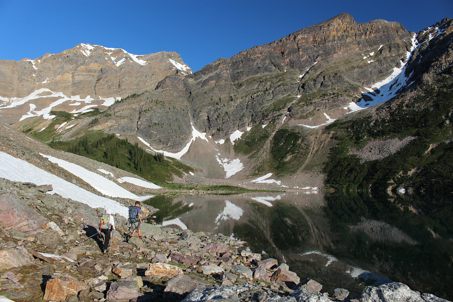 There are some big fish in this lake.
