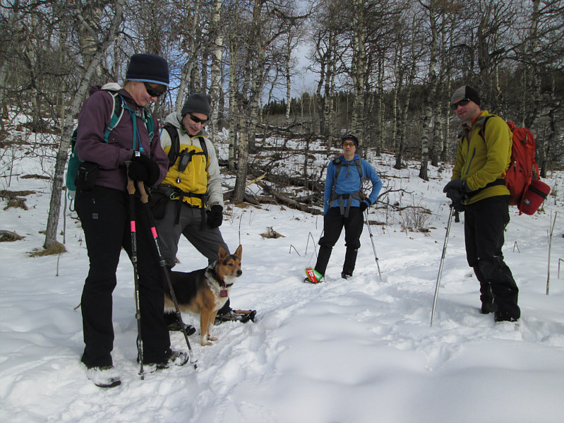 I think So wants to whack something or someone...