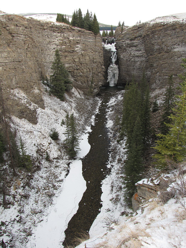 Okay, I've seen enough. Let's go home!