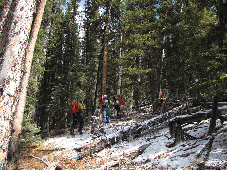 I like group bushwhacks!