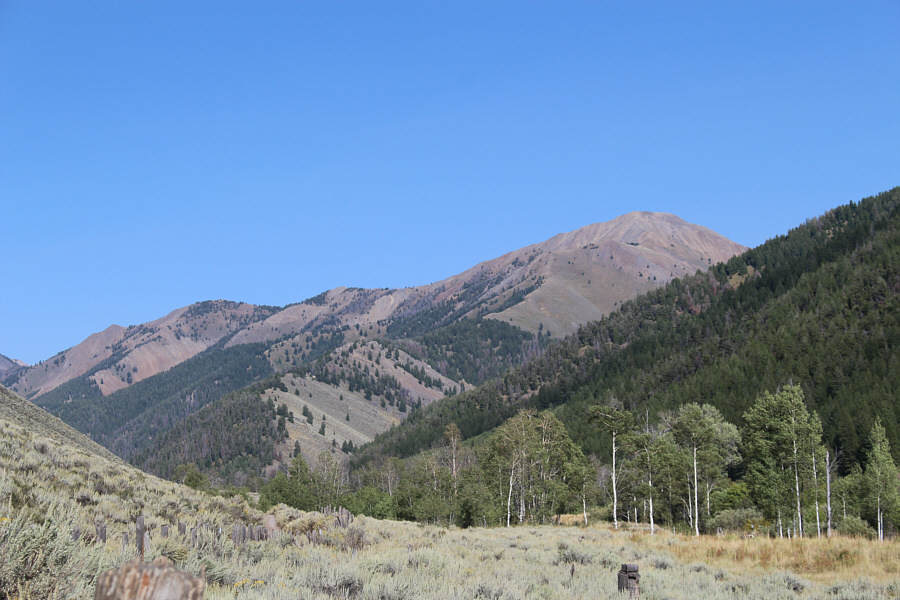 Where shall I go next?