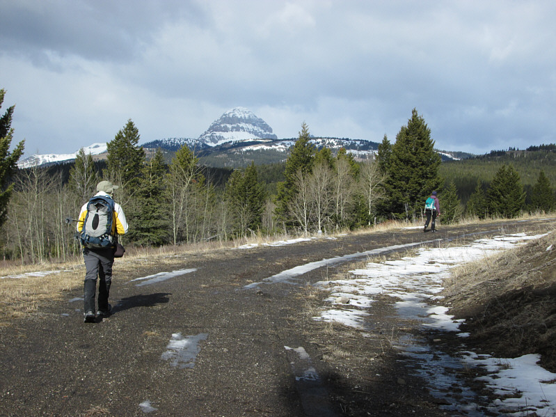 Looks like a big chocolate sundae!