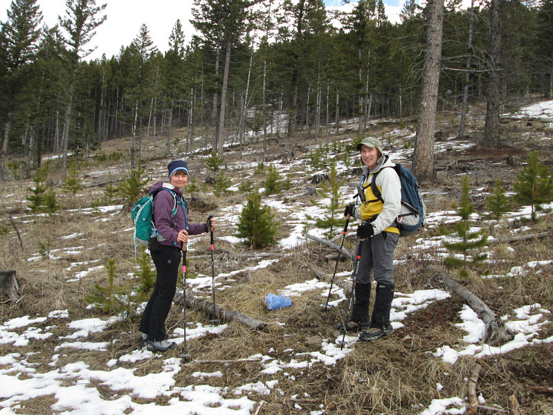 It's a salt lick...from outer space!!!