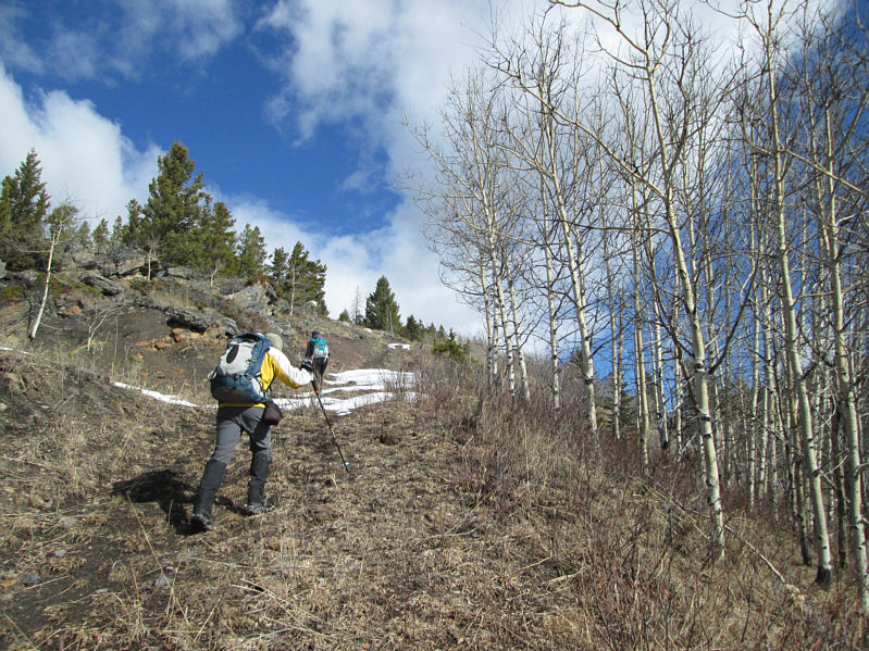 Feels like summer already!