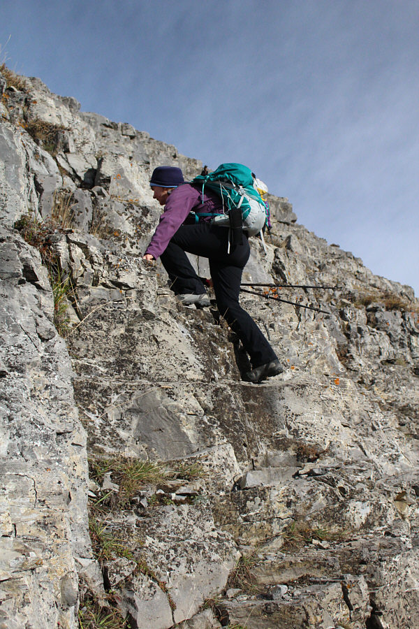 Dinah appears to have recovered from her wallop.