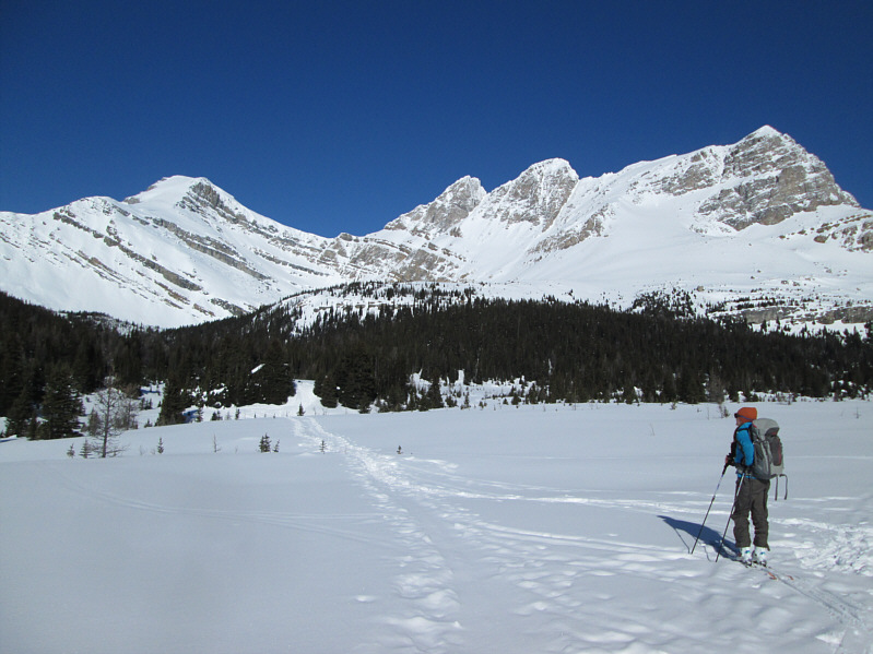 Matthew Hobbs was dragging his poor dog up Heather Ridge right around this time!
