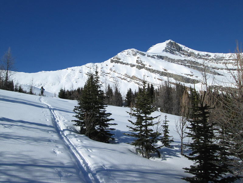 Aga was still going strong and probably could have skied all the way to the top of Mount Richardson!