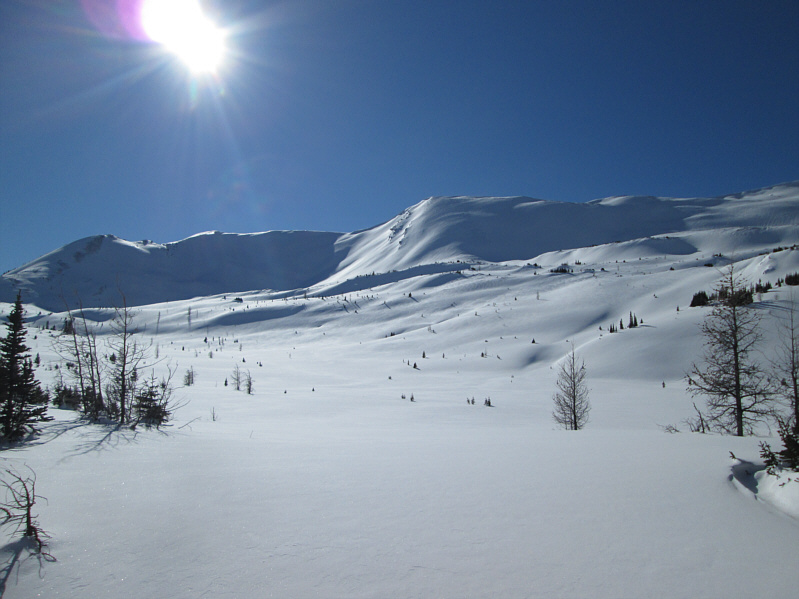 Breathtakingly beautiful!