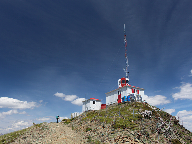 No, Dinah. I don't think they sell burgers here!