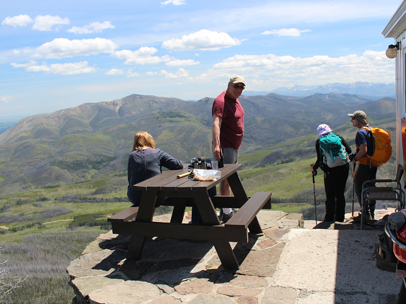 Beats looking at neighbours with cars on blocks!