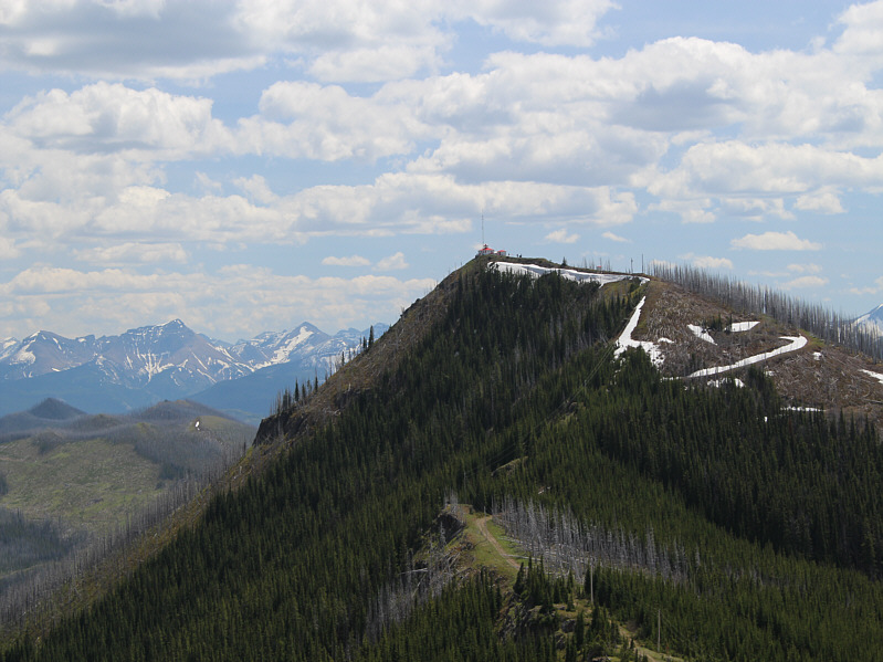Alright, time for some bushwhacking fun!