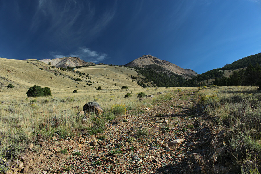 A dirt bike would work too!