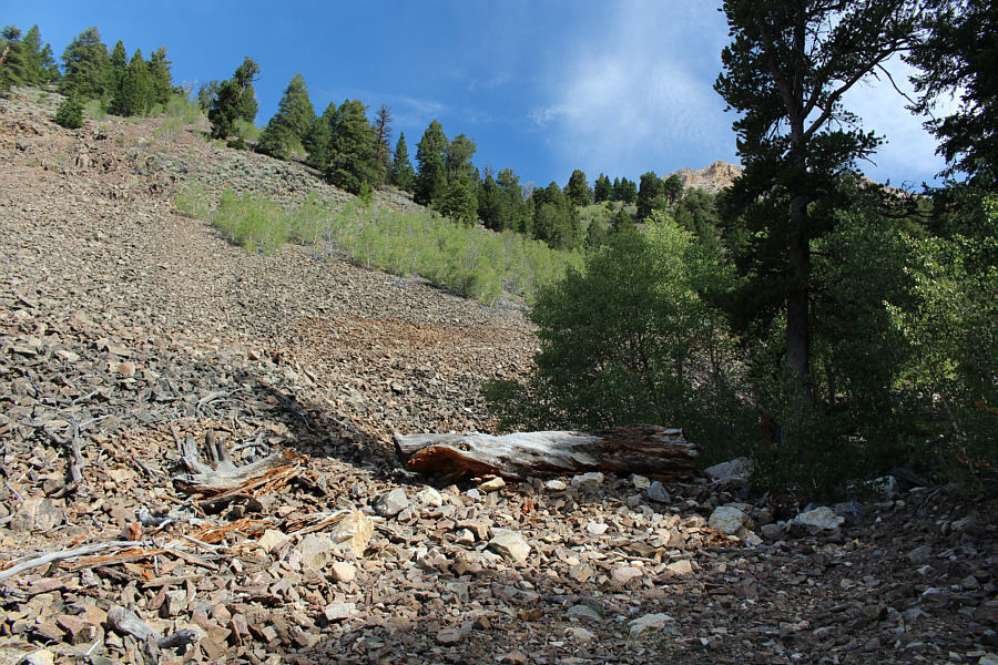 Yep, definitely bring a dirt bike!