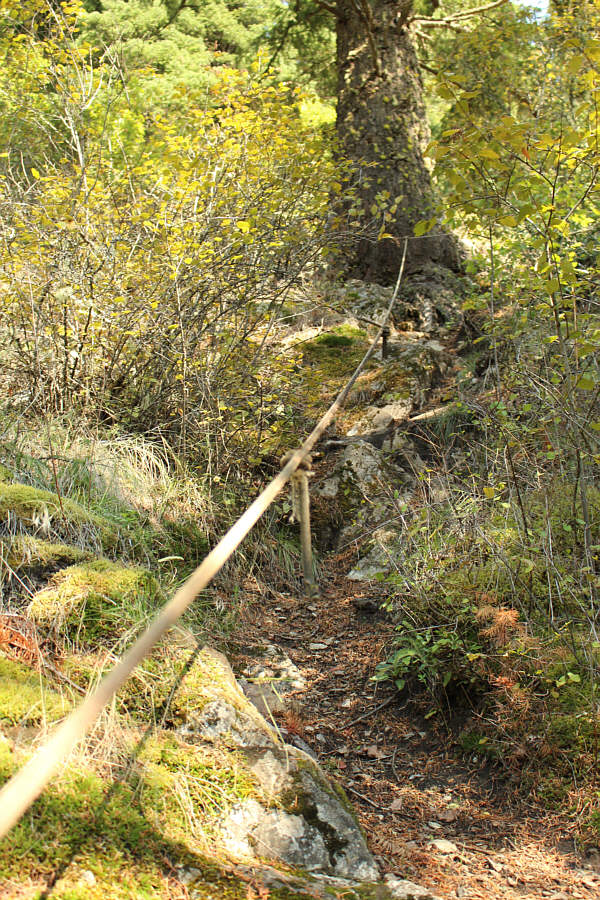 For the record, I did not use the rope either going up or coming down.