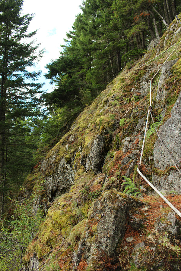 For the record, I did not use the rope either going up or coming down. Really!