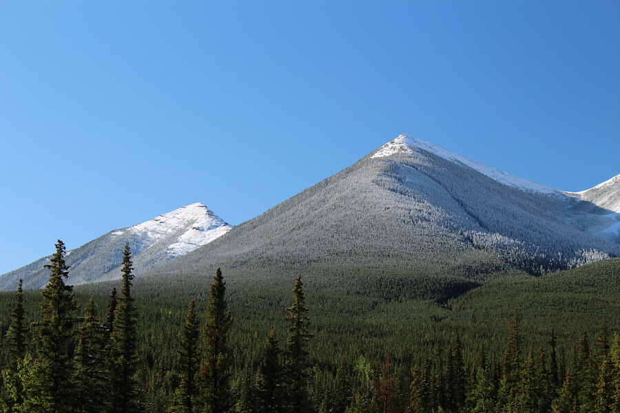 Kevin Barton supposedly skied up the facing slope/ridge! Snow must have covered the tops of all the trees!
