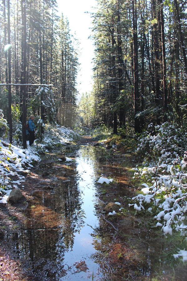 So much for trying to keep my hiking shoes dry!