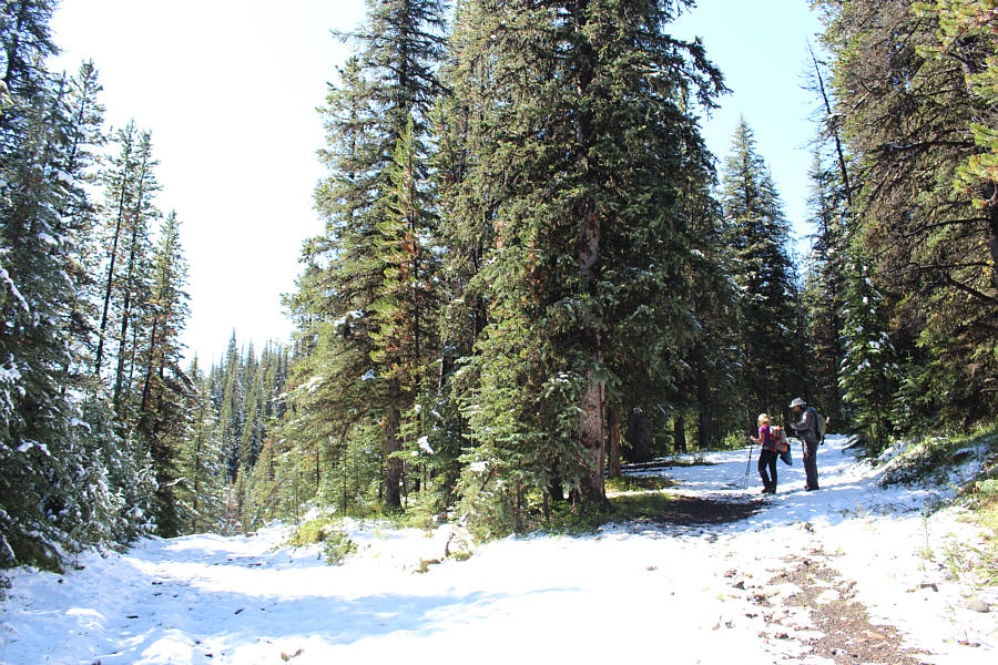 Wow, a trail that is actually still in good shape!