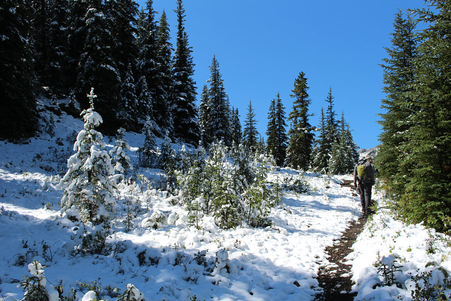 Is it ski season yet?