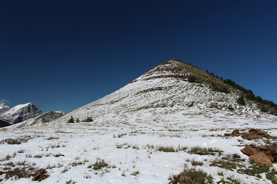 I need to catch up to the rest; they're almost at the top!