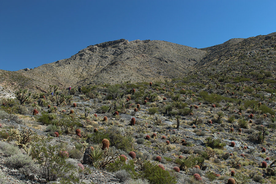 It was actually a relief to start climbing upwards after the long, exhausting trek across the flat desert!