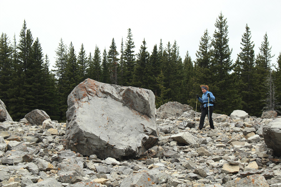 You're doing great, Shelley!