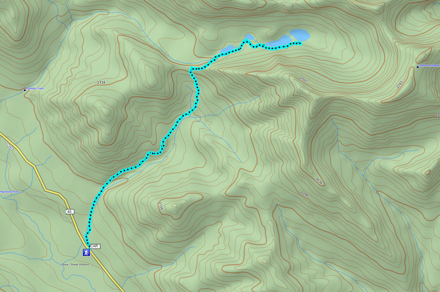 This one's for you, Shelley!