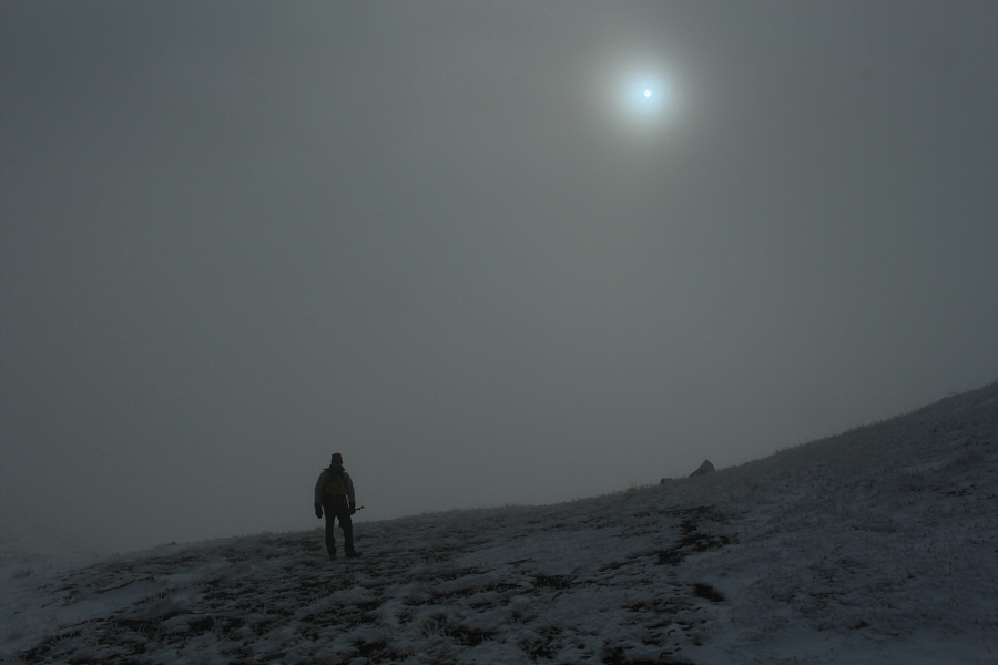 Go left, go right, or go home?