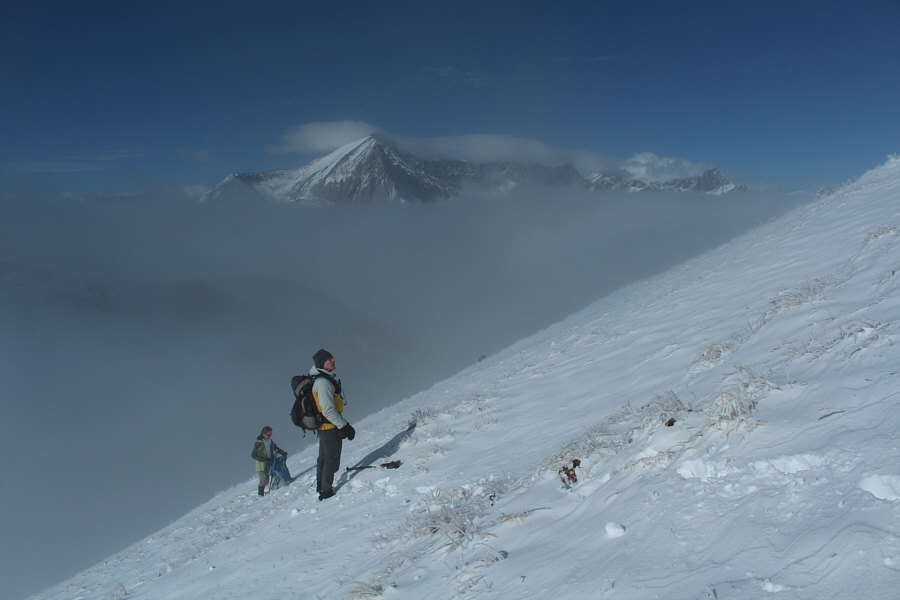 Eh? Who ordered the sun??