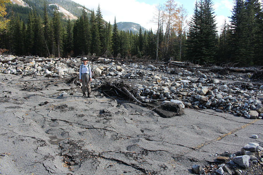 It's amazing what the flood did to the asphalt!