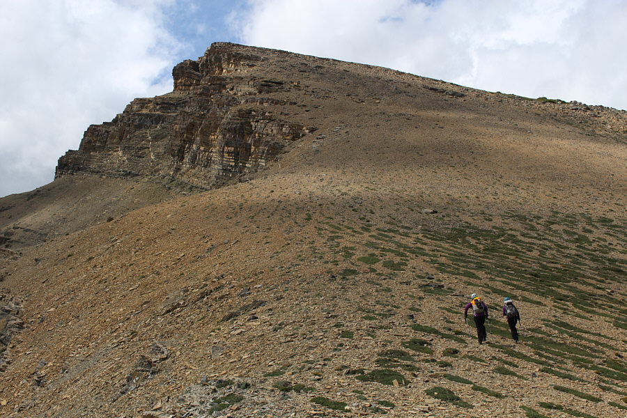 Put your mind back on cruise control here!