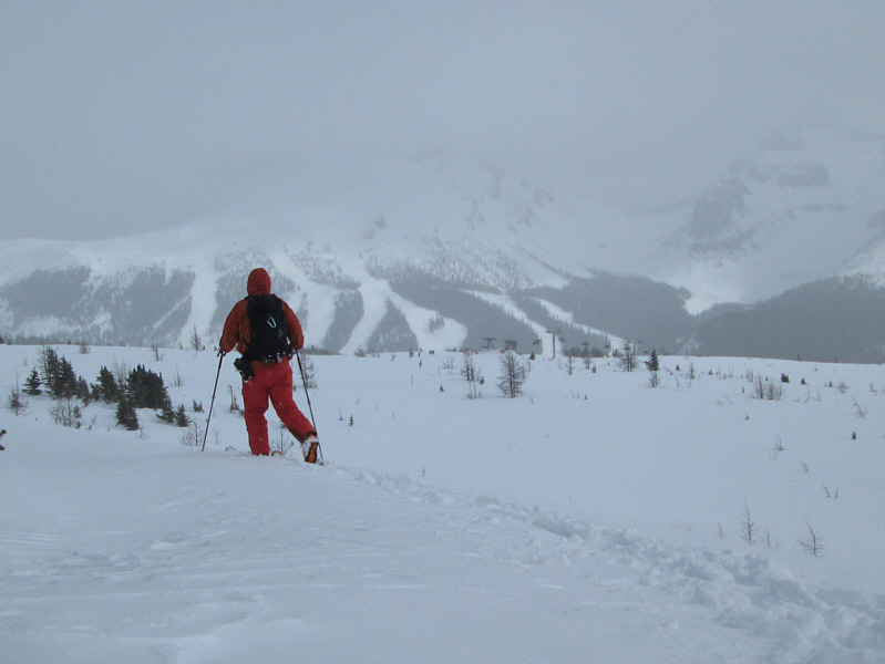 I hear a chicken burger and onion rings calling my name...