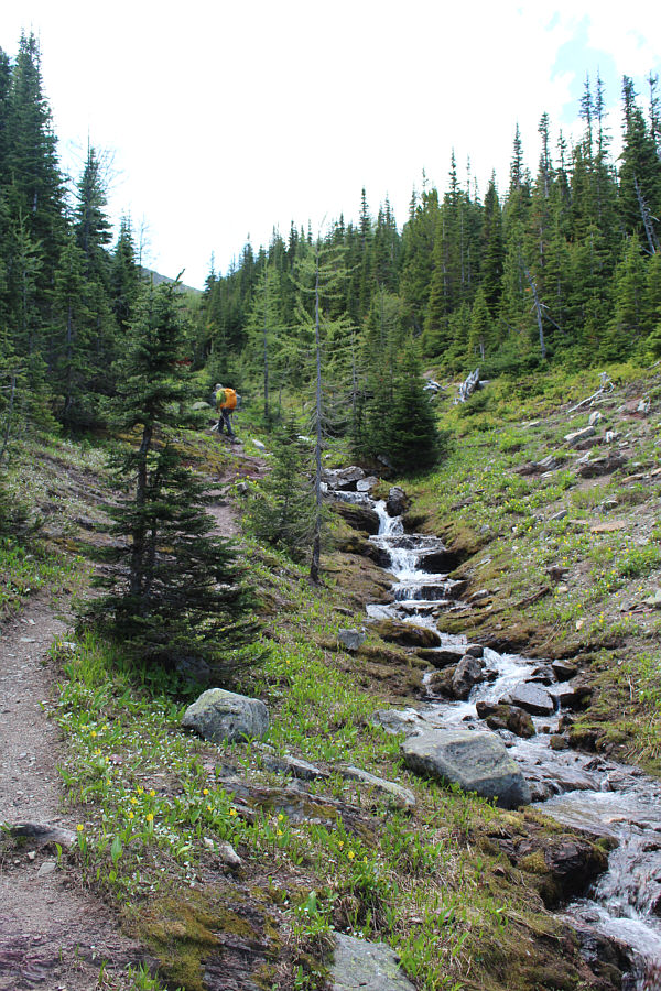 This brook emanates from a natural spring further up, so feel free to have a drink!
