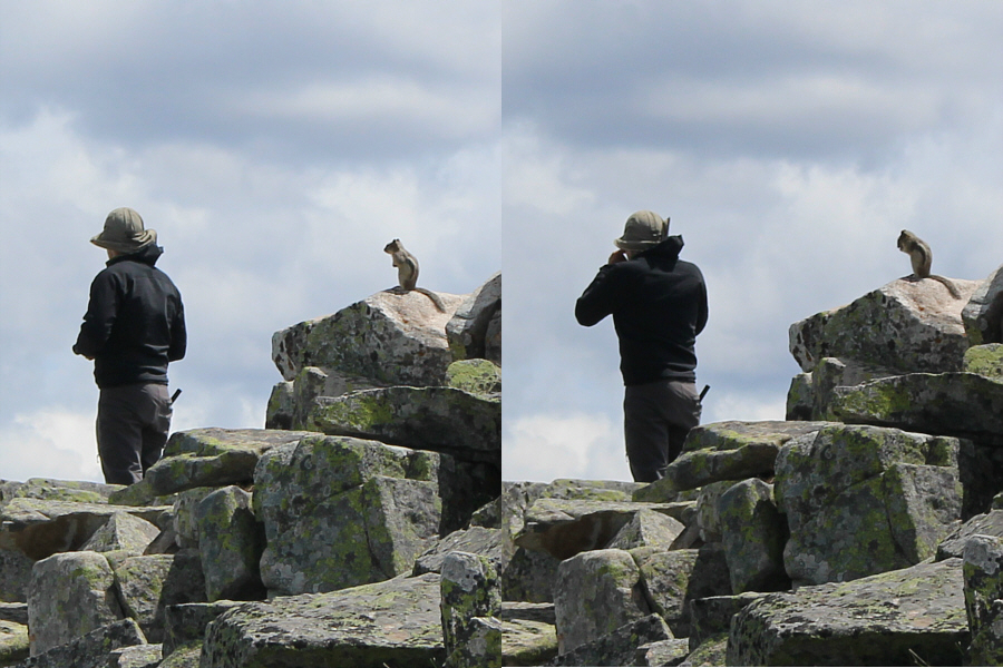 Bob even has a "tail"!