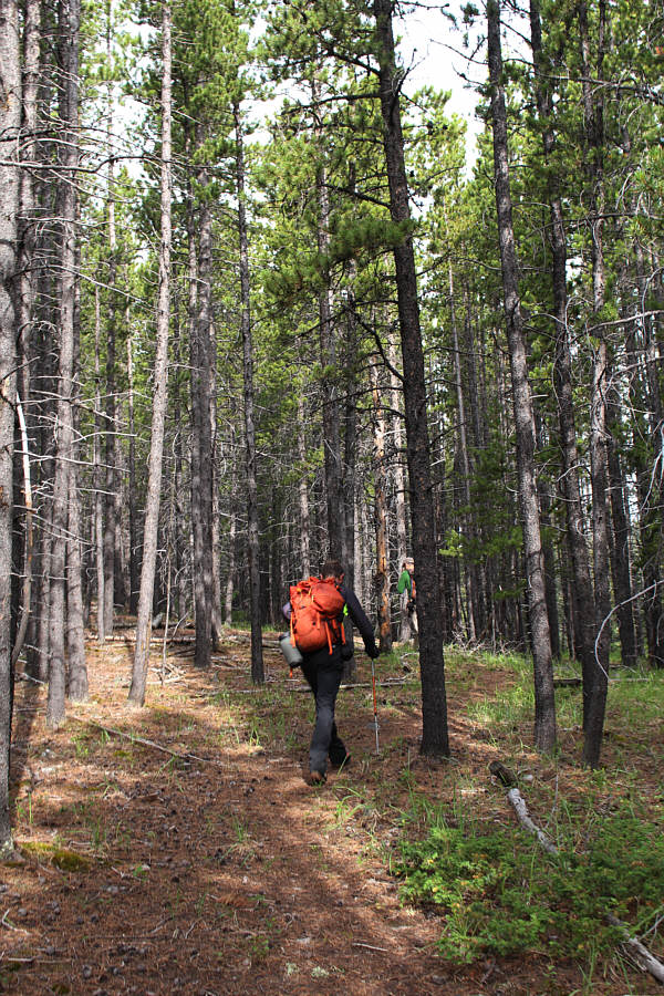 Better have a good conversation handy...