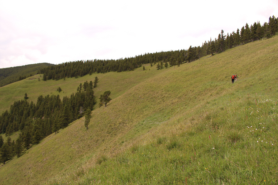 There is a bit of a cow trail to follow across the hillsides.
