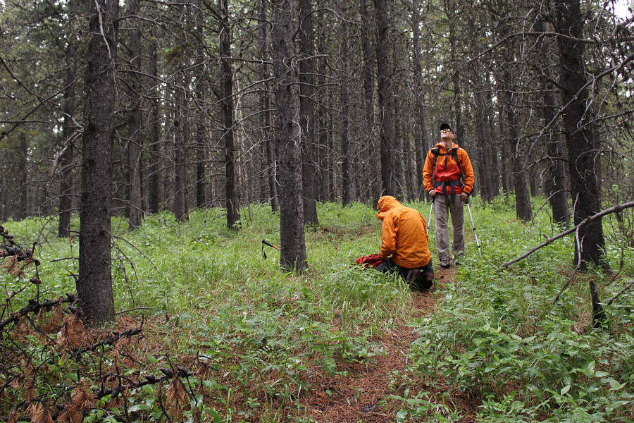 We are about to get soaked...