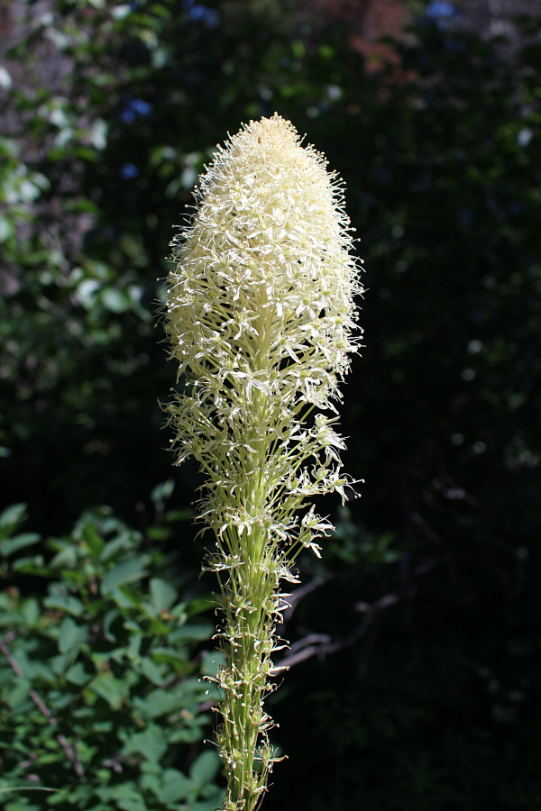 It's always a treat to see these.