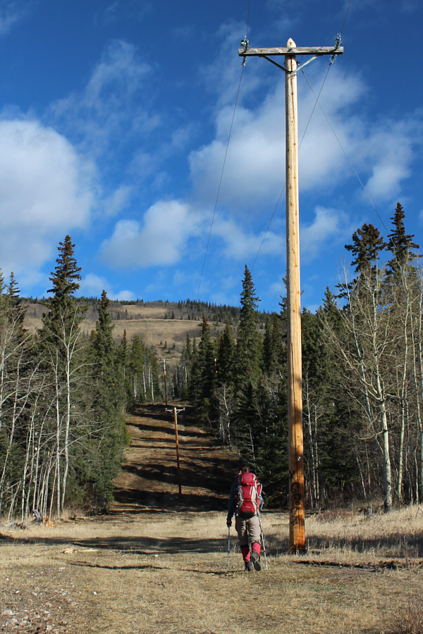 Oh operator, information, give me Jesus on the line...