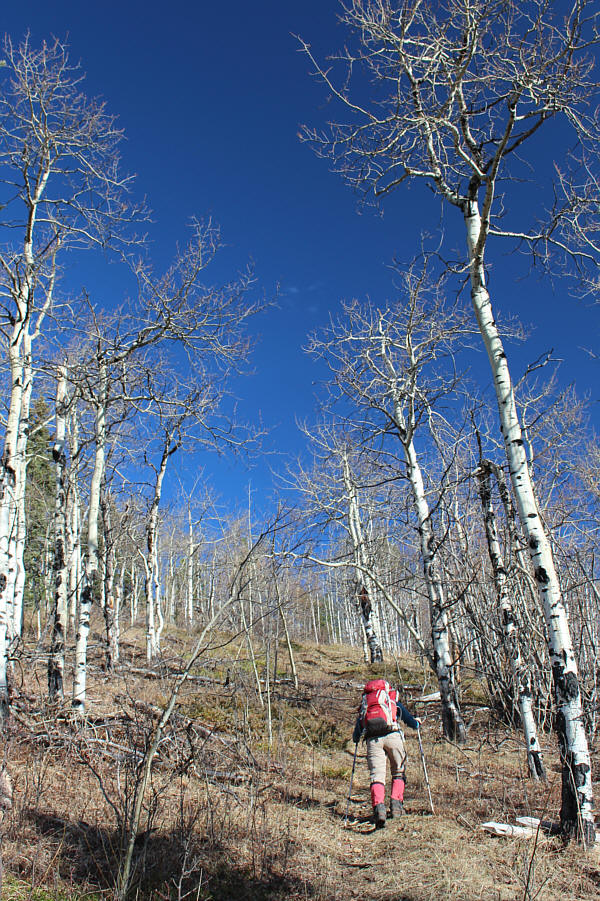 Zosia isn't even breathing hard!