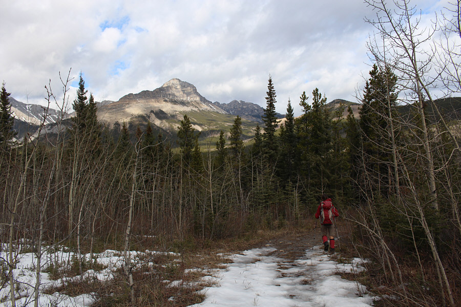 Looks like we're finally getting somewhere!