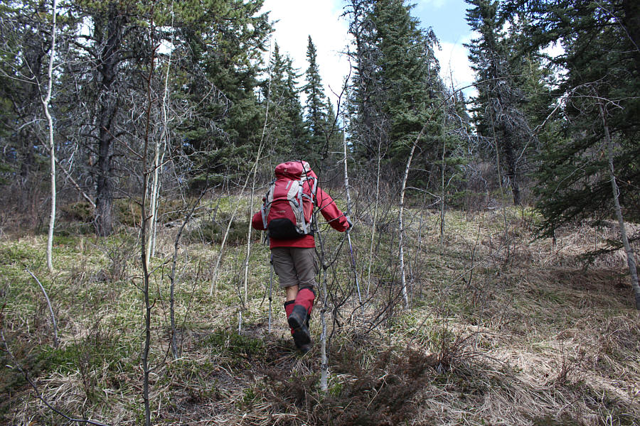 We don't need no stinkin' trail!