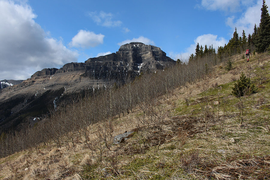 Zosia is still going strong; she is a machine!