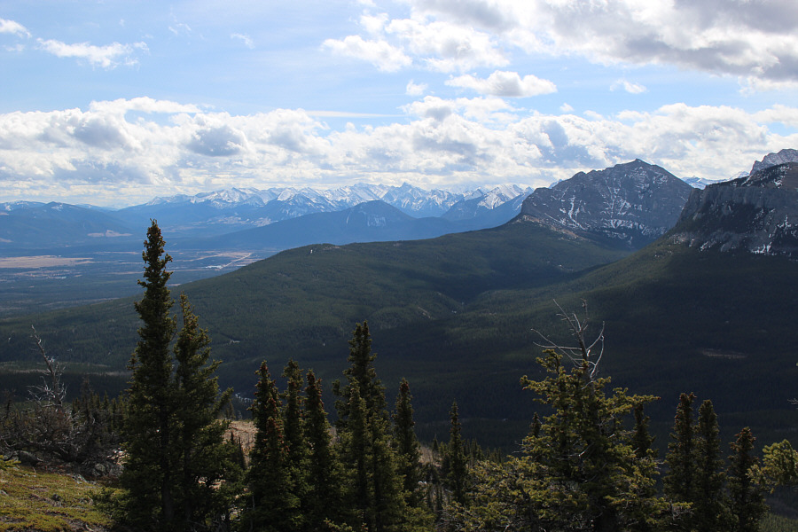 I can almost hear the crowd of yahoos on Yam...