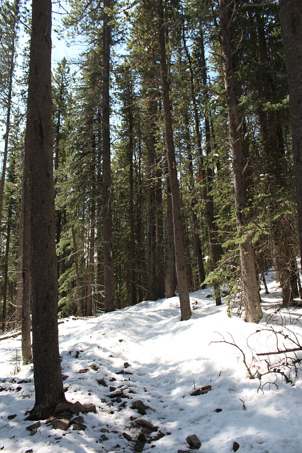 Don't expect any views...